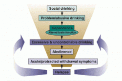 Alcohol abuse and dependence are at two different stages in the addiction progress.