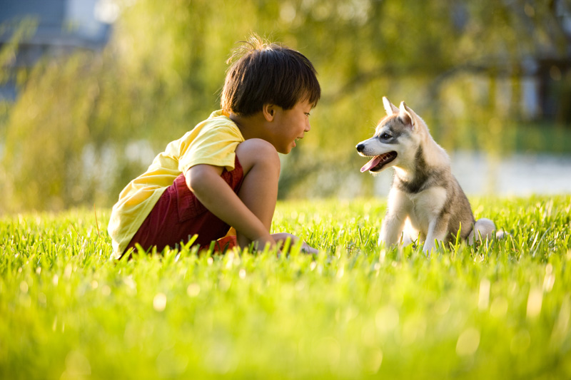 Could a Wildlife Rehab Center Work for My Child?