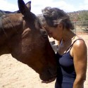 Equine therapy is known to help people in drug rehab programs.